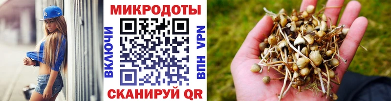 Купить  Мосальск  Галлюциногенные грибы ЛСД 